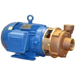 Bomba 6